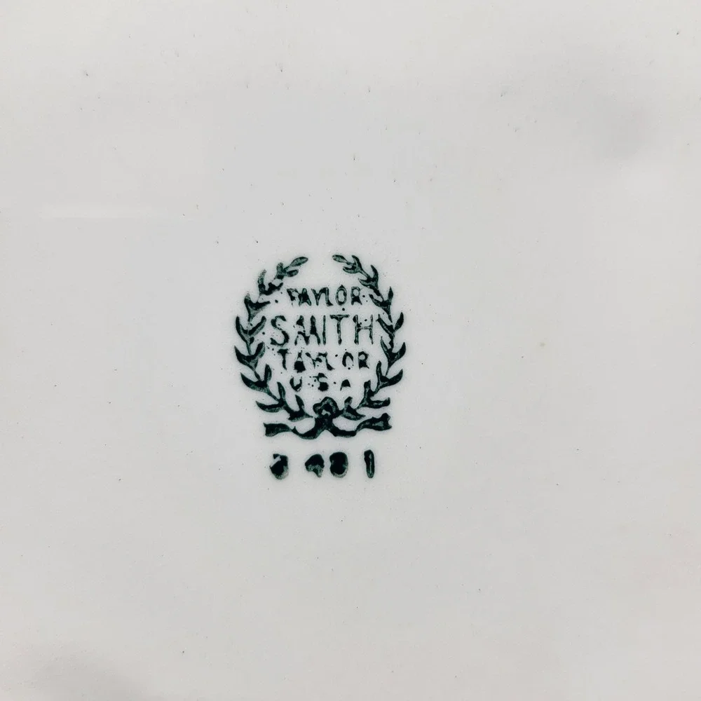 VTG‎ Taylor Smith Taylor USA Dinner Plate Cream Silver Platinum Striped Rim 10
